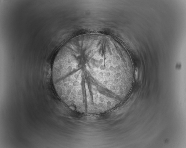 X0000102471251200808221635