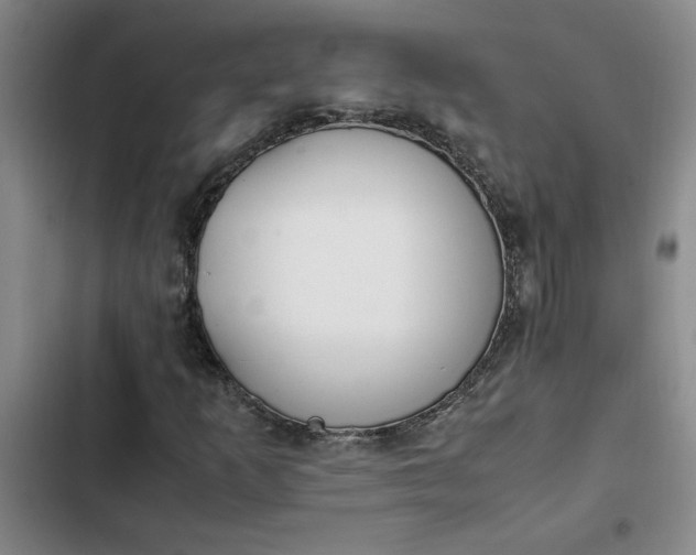 X0000102471253200808221635