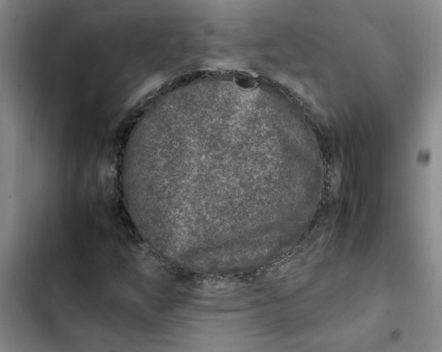 X0000102471254200808221635