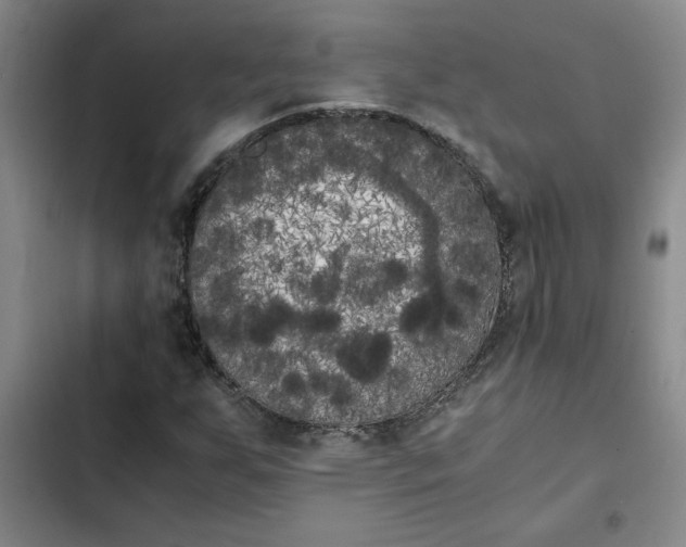 X0000102471255200808221634