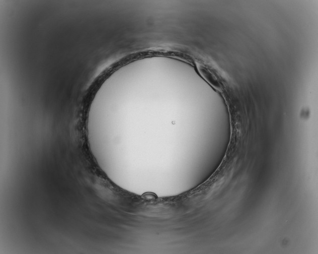 X0000102471256200808221634