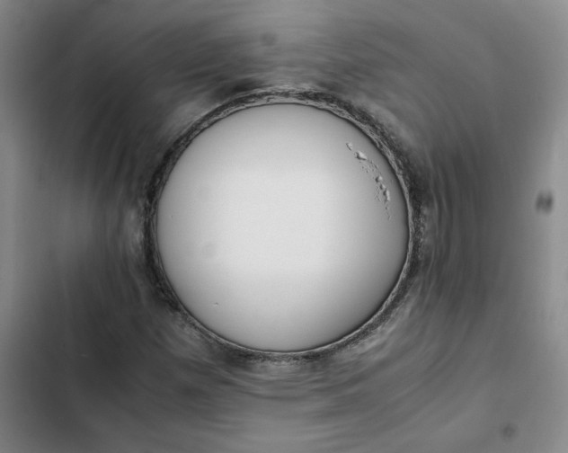 X0000102471257200808221634
