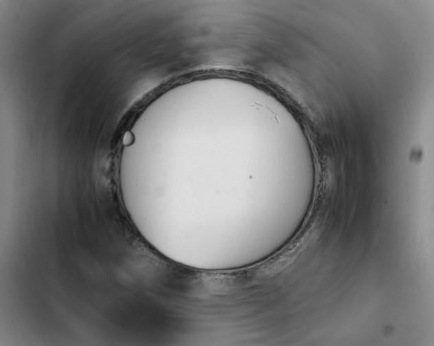 X0000102471258200808221634