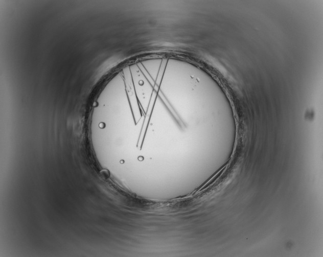 X0000102471259200808221634
