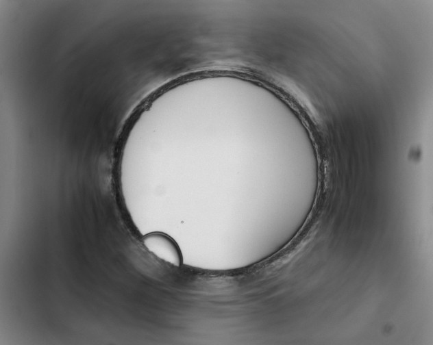 X0000102471260200808221634