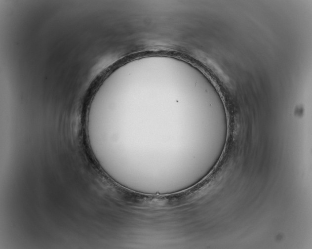 X0000102471261200808221634