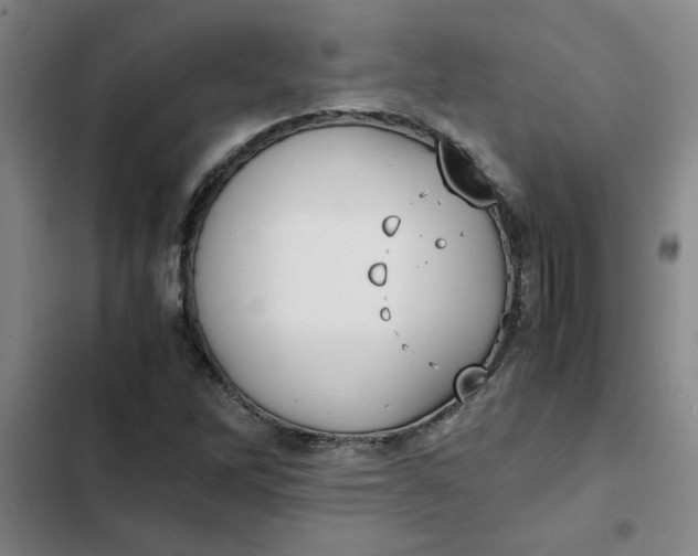 X0000102471262200808221634