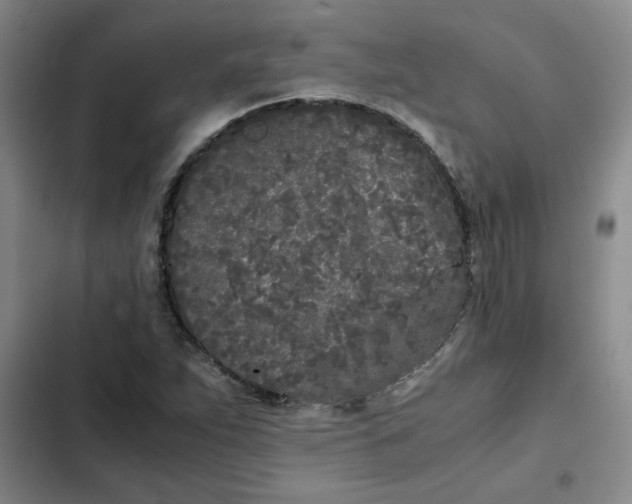 X0000102471263200808221634