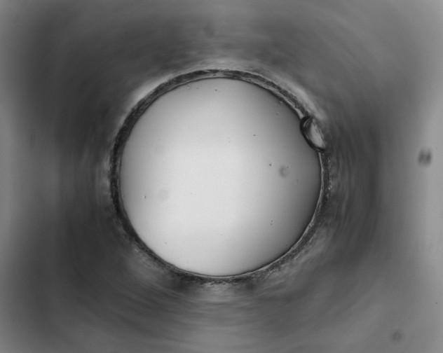 X0000102471264200808221634