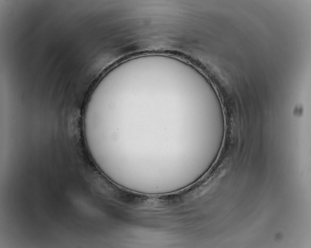 X0000102471265200808221634