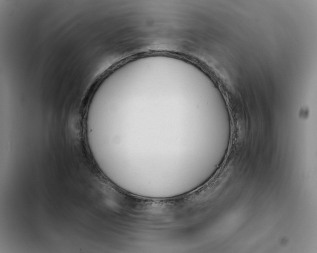 X0000102471266200808221634
