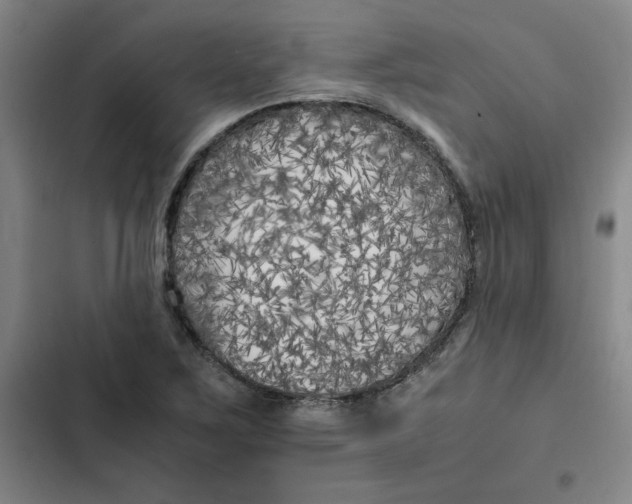 X0000102471267200808221634