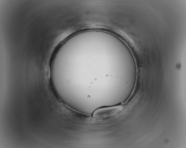 X0000102471269200808221634