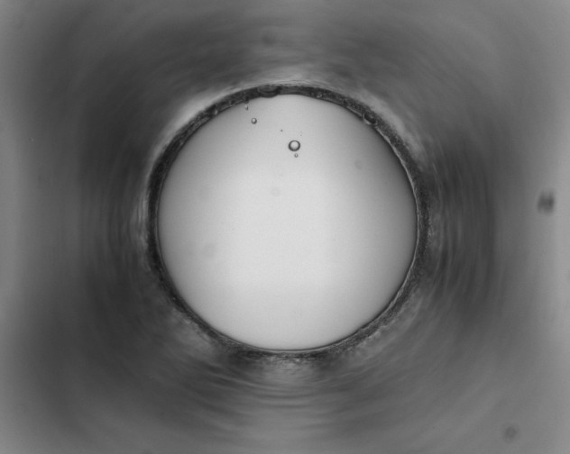 X0000102471270200808221634