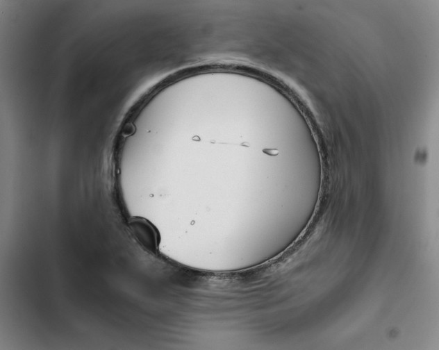 X0000102471271200808221634
