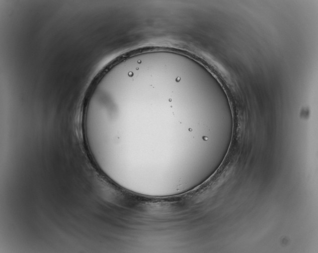 X0000102471272200808221634