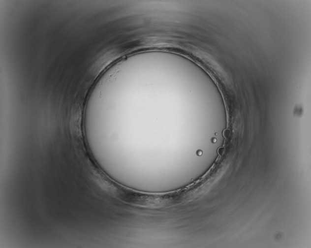 X0000102471273200808221634
