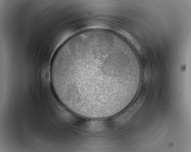 X0000102471274200808221634
