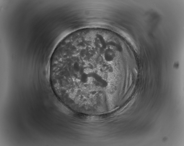 X0000102471275200808221634