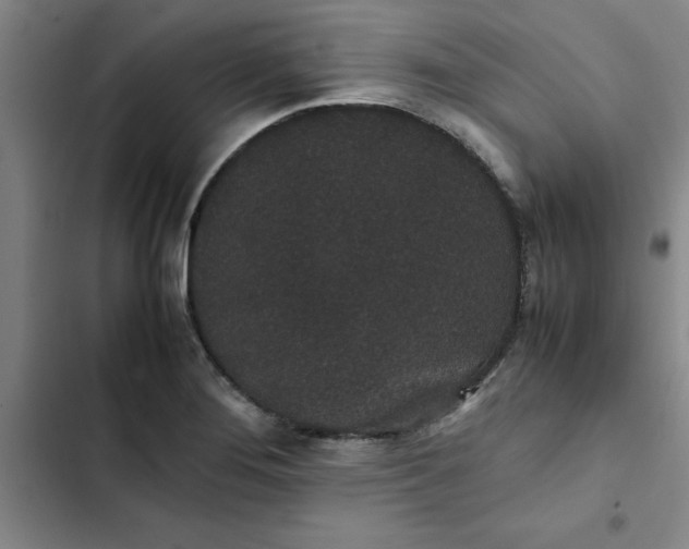 X0000102471276200808221634