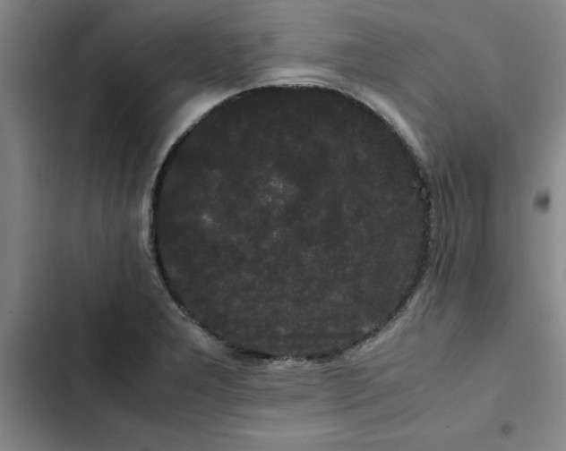 X0000102471277200808221634
