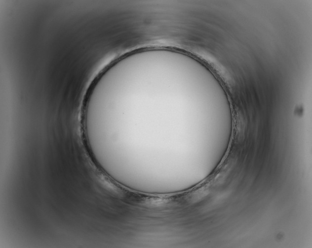 X0000102471278200808221634