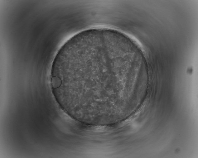 X0000102471279200808221634