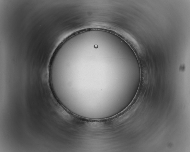 X0000102471280200808221634