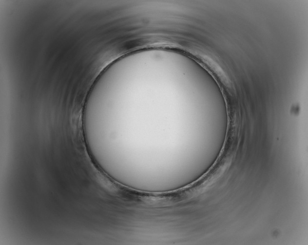 X0000102471281200808221634