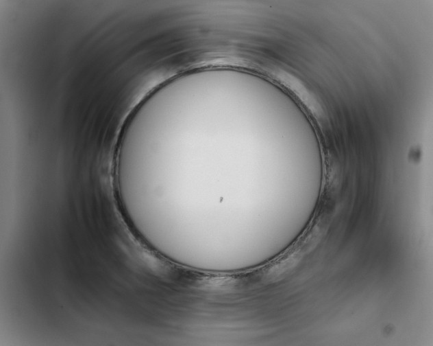 X0000102471282200808221634