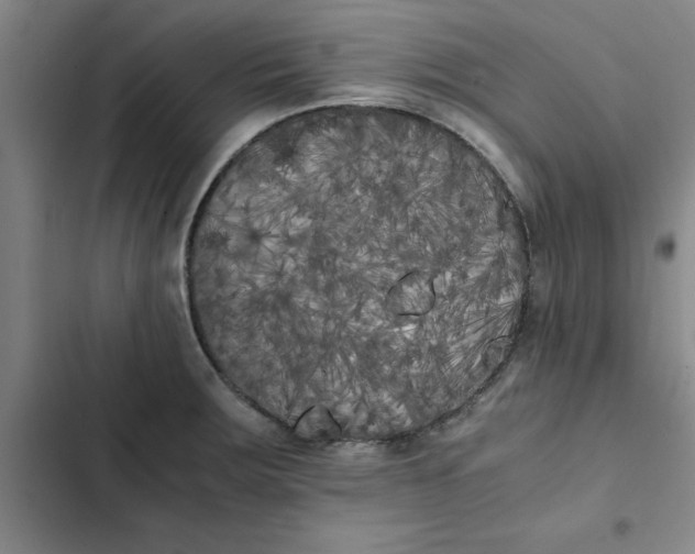 X0000102471283200808221634