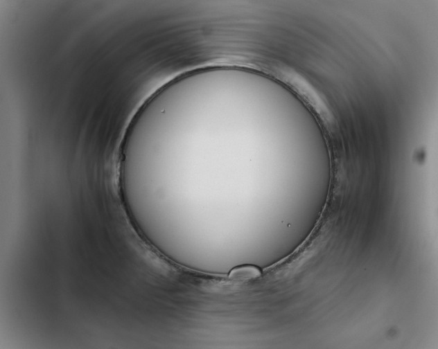 X0000102471284200808221634