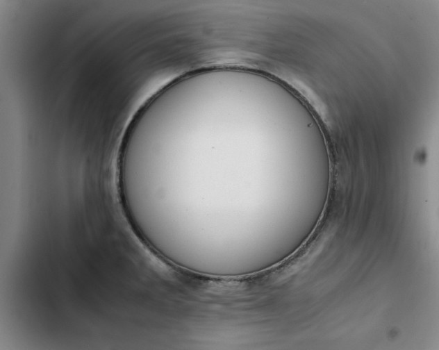 X0000102471285200808221634