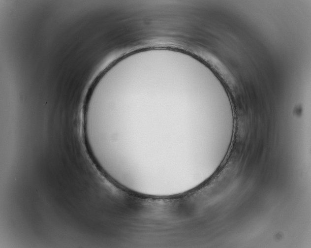 X0000102471286200808221634