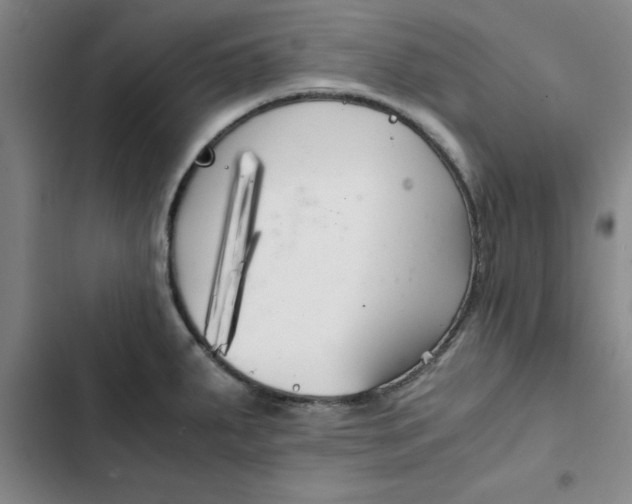 X0000102471287200808221634