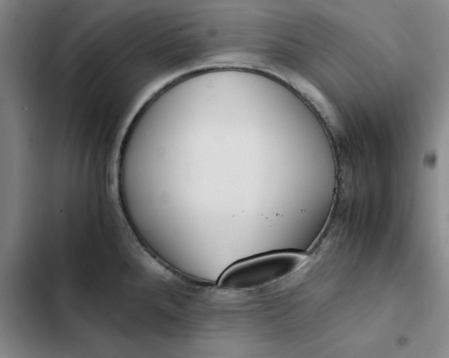 X0000102471288200808221634