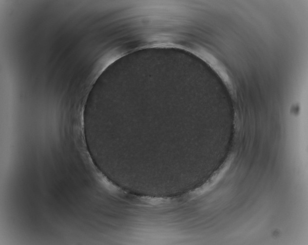 X0000102471289200808221634