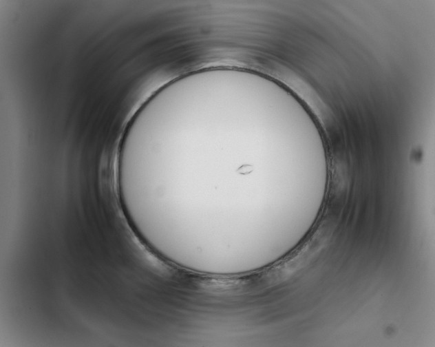 X0000102471290200808221634