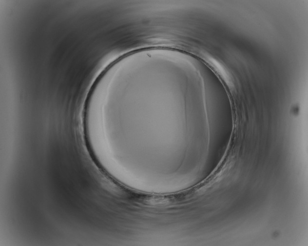 X0000102471291200808221634