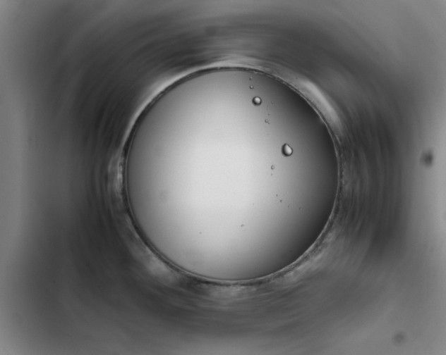 X0000102471292200808221634