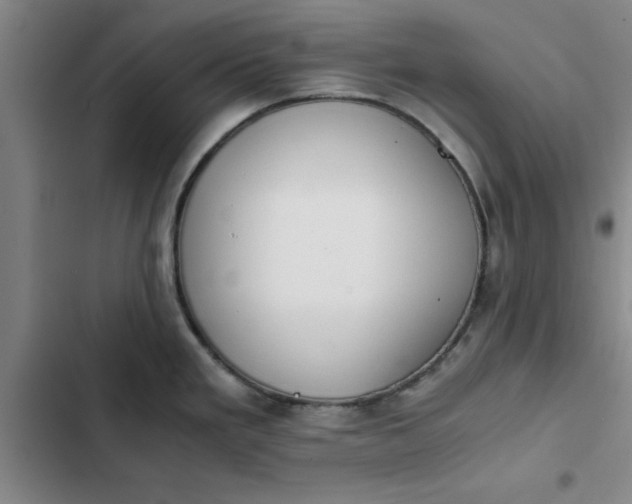 X0000102471293200808221634