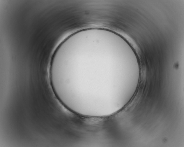 X0000102471294200808221634