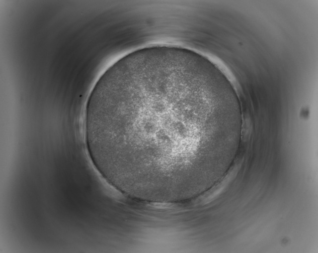 X0000102471295200808221634