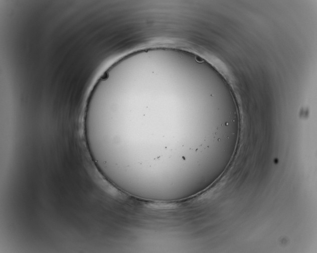 X0000102471296200808221634