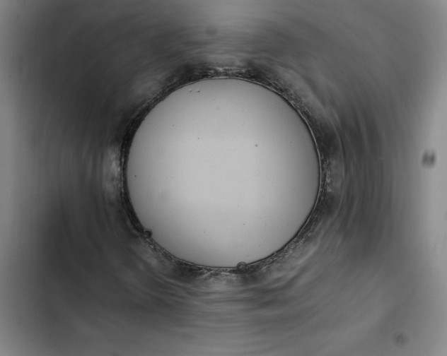 X0000102471298200808221633
