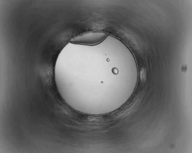 X0000102471299200808221633