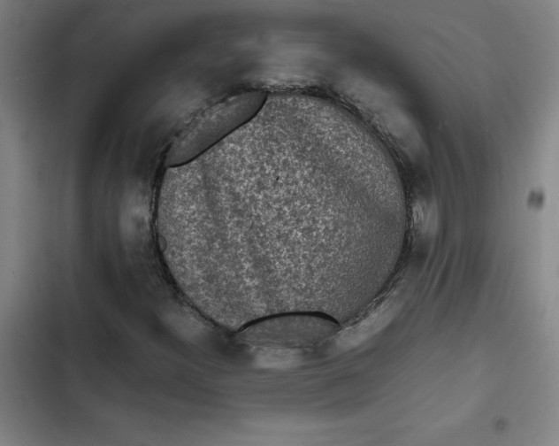 X0000102471300200808221633