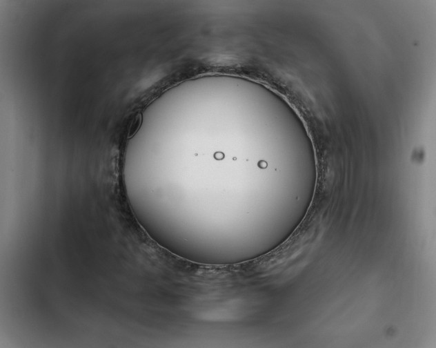 X0000102471301200808221633