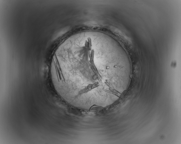 X0000102471302200808221633