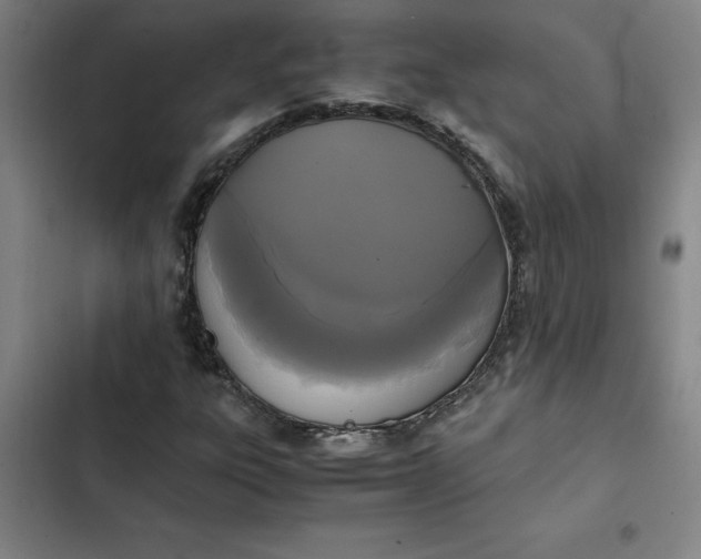 X0000102471303200808221633
